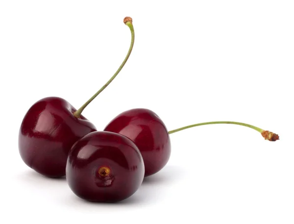 Cherry — Stock Photo, Image