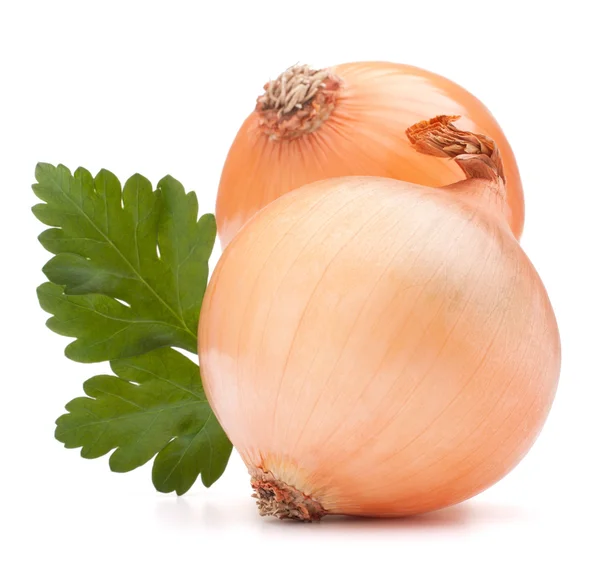 Onion vegetable bulb and parsley leaves still life — Stock Photo, Image