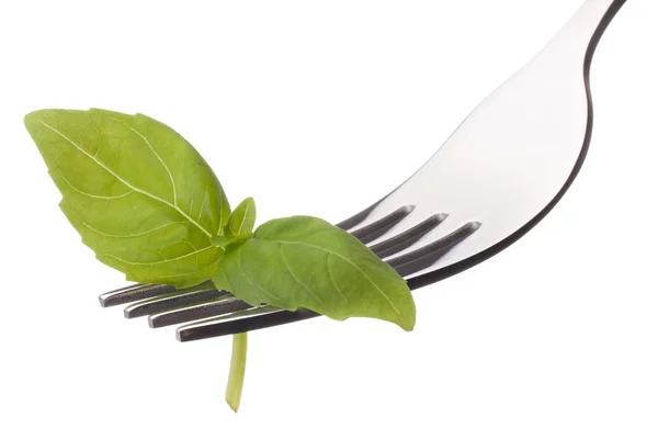 Fresh basil leaf on fork isolated on white background cutout. H — Stock Photo, Image