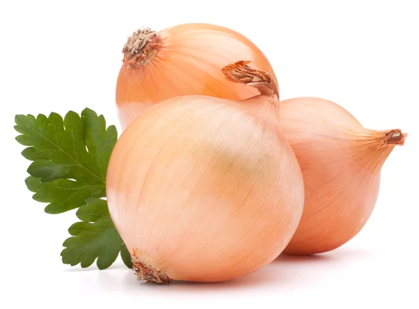 Onion vegetable bulb and parsley leaves still life — Stock Photo, Image