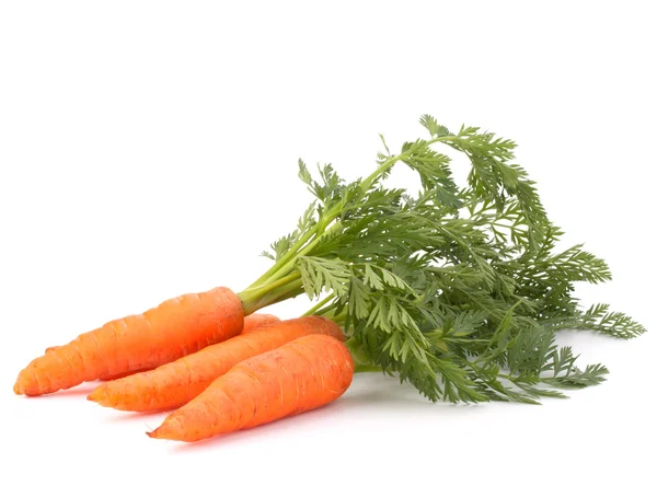 Zanahoria vegetal con hojas — Foto de Stock
