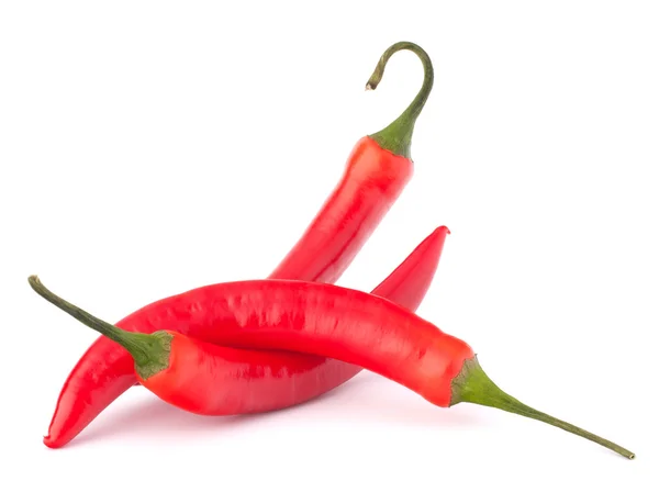 Hot red chili or chilli pepper still life — Stock Photo, Image