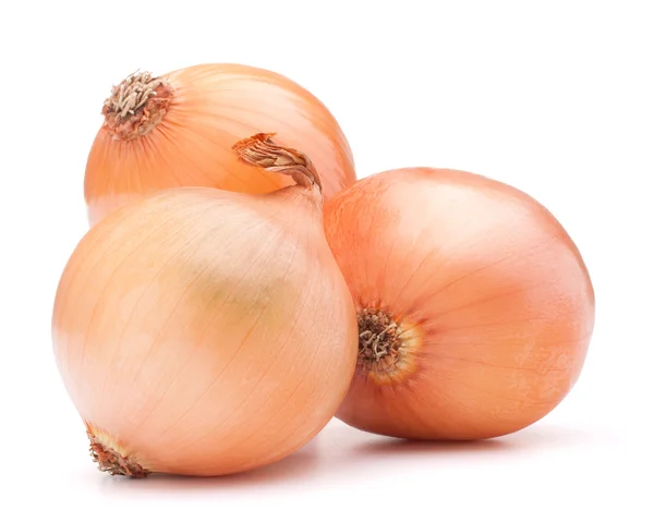 Gold onion vegetable bulbs — Stock Photo, Image