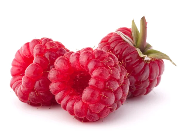 Reife Himbeeren — Stockfoto