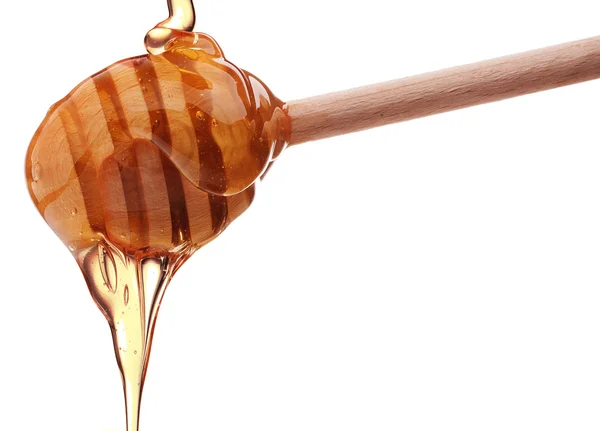 Miele gocciolante da un tuffatore di miele in legno isolato su schiena bianca — Foto Stock