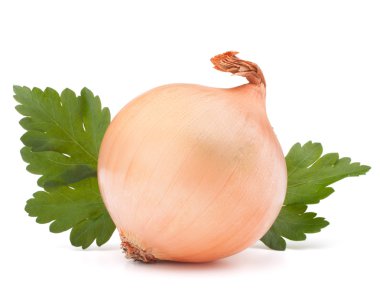 soğan sebze ampul ve maydanoz yaprakları natürmort