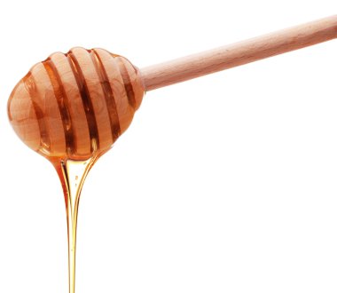 Beyaz arkasında izole bir ahşap bal ayı den damlayan bal