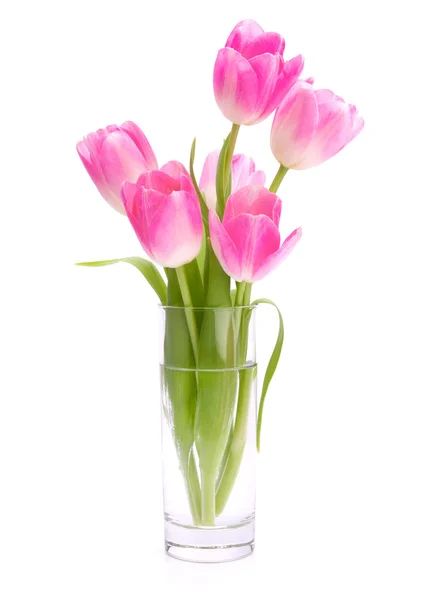 Buquê de tulipas rosa em vaso isolado no fundo branco — Fotografia de Stock