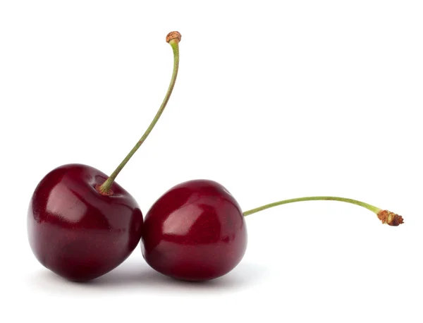 Dwa owoce wiśni — Zdjęcie stockowe