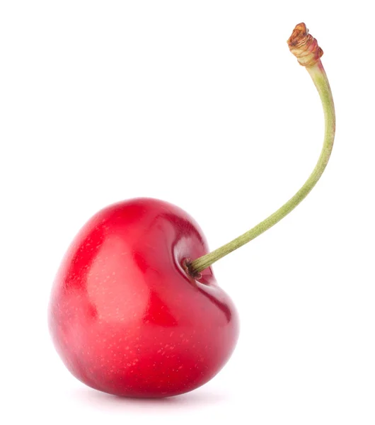 Heart shaped cherry berry Stock Picture