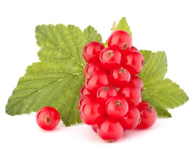 Kırmızı kuş üzümü ve yeşil yaprakları natürmort