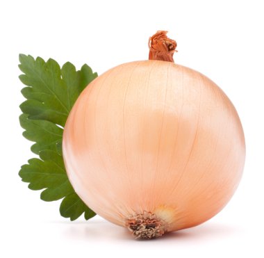 soğan sebze ampul ve maydanoz yaprakları natürmort