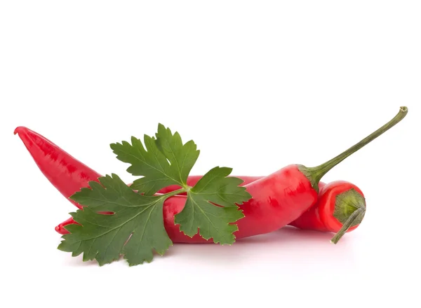 Scharfe rote Chili- oder Chilischote und Petersilienblätter — Stockfoto