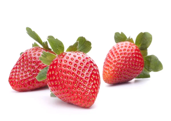 Aardbeien — Stockfoto