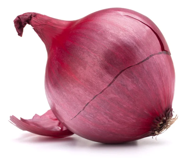 Kırmızı soğan ampul — Stok fotoğraf