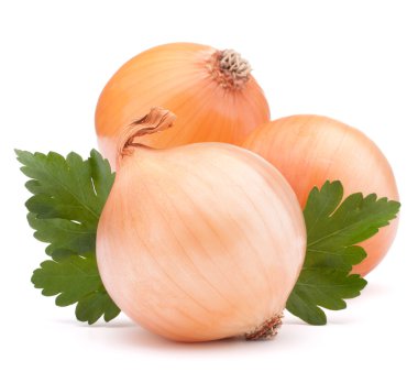 soğan sebze ampul ve maydanoz yaprakları natürmort