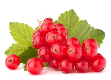 Kırmızı kuş üzümü ve yeşil yaprakları natürmort