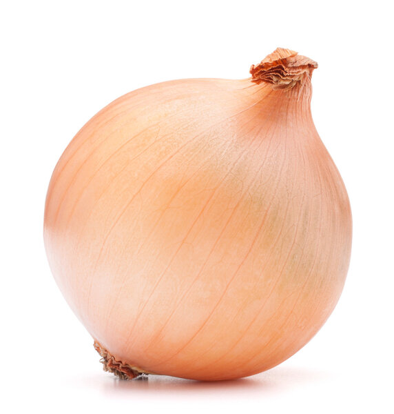 золотая луковица
