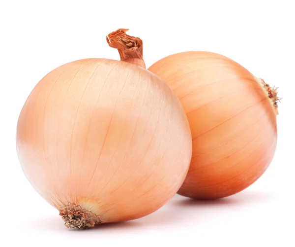 Gouden UI plantaardige bollen — Stockfoto