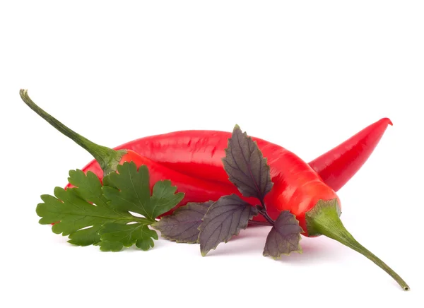 Hot red chili or chilli pepper and aromatic herbs leaves still l — Stock Photo, Image