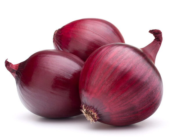 red onion bulb