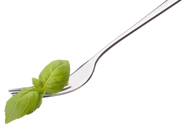 Hoja de albahaca fresca sobre tenedor aislado sobre fondo blanco recortado. H —  Fotos de Stock