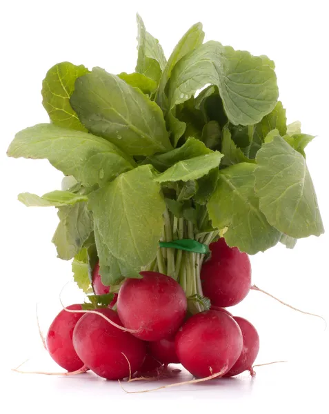 Small garden radish with leaves — Stock Photo, Image