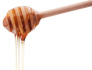 Beyaz arkasında izole bir ahşap bal ayı den damlayan bal