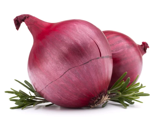 Cebolla roja y hojas de romero — Foto de Stock