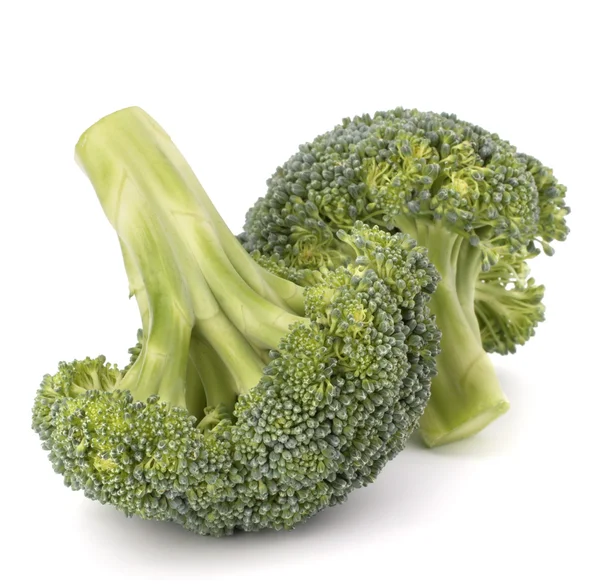 Broccoli vegetabiliska — Stockfoto