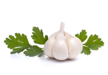 sarımsak ampul