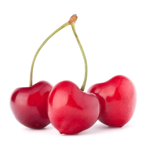 Baies cerises en forme de coeur — Photo