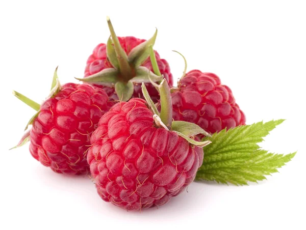 Reife Himbeeren — Stockfoto