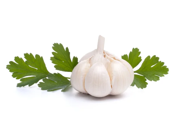 Garlic bulb — Stock Photo, Image