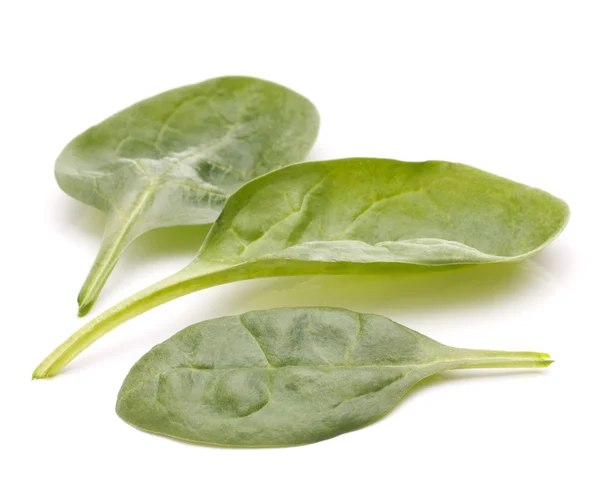 Découpe de légumes aux épinards — Photo