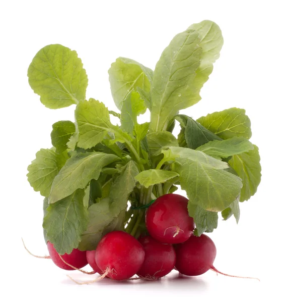 Small garden radish with leaves — Stock Photo, Image