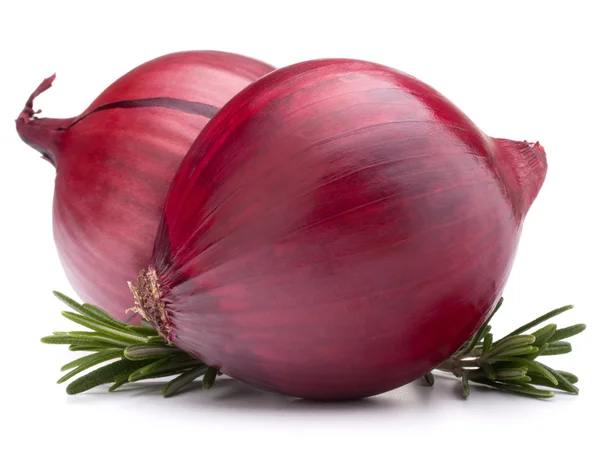 Cebolla roja y hojas de romero — Foto de Stock