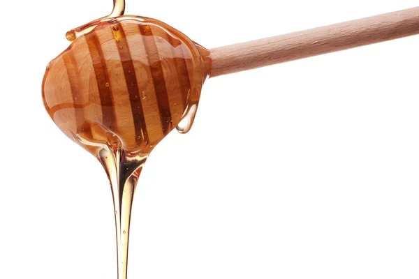 Honing druipend van een houten honing Beer geïsoleerd op witte achterzijde — Stockfoto