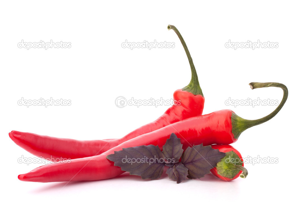 Hot red chili or chilli pepper and basil leaves still life