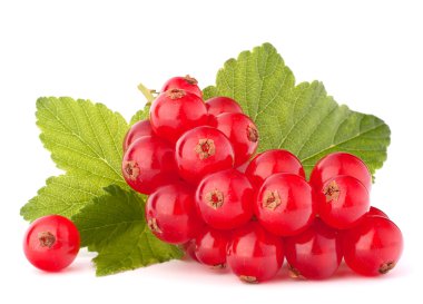 Kırmızı kuş üzümü ve yeşil yaprakları natürmort