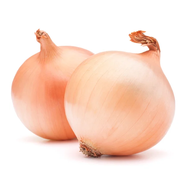 Gouden UI plantaardige bollen — Stockfoto