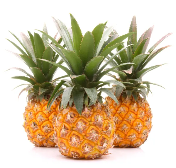 Pineapple tropical fruit or ananas — Stock Photo, Image