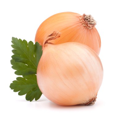 soğan sebze ampul ve maydanoz yaprakları natürmort