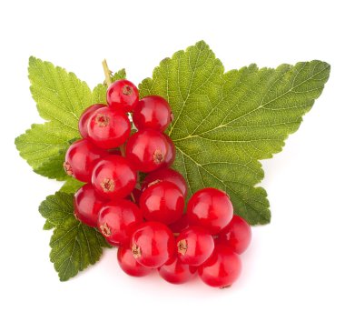 Kırmızı kuş üzümü ve yeşil yaprakları natürmort