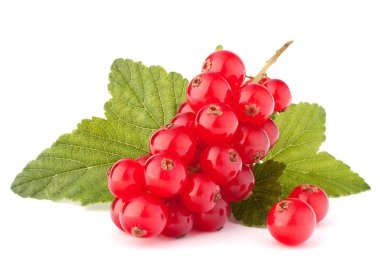 Kırmızı kuş üzümü ve yeşil yaprakları natürmort