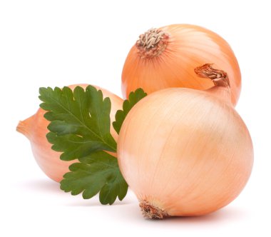 soğan sebze ampul ve maydanoz yaprakları natürmort