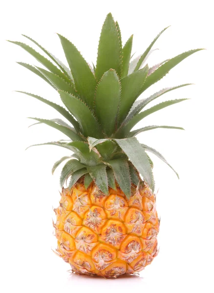 Pineapple tropical fruit or ananas — Stock Photo, Image