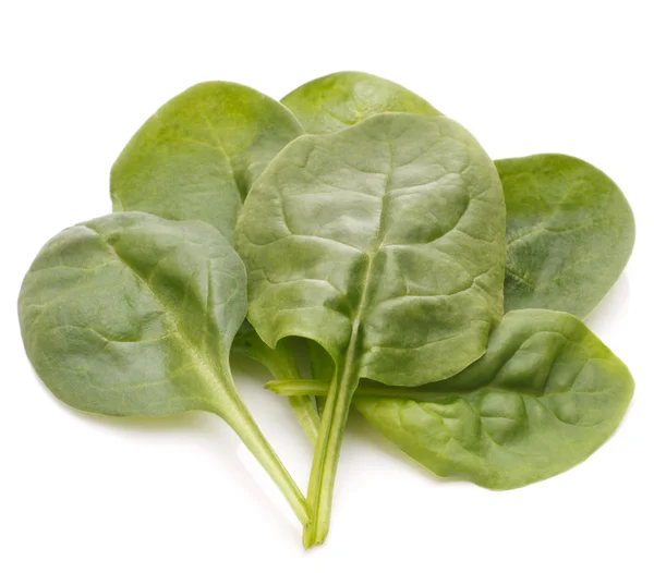 Szpinak warzywa wyłącznik — Zdjęcie stockowe