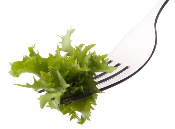 Ensalada de lechuga fresca sobre tenedor aislado sobre fondo blanco recorte —  Fotos de Stock