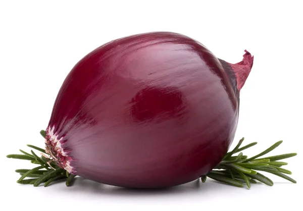 Красная луковица — стоковое фото
